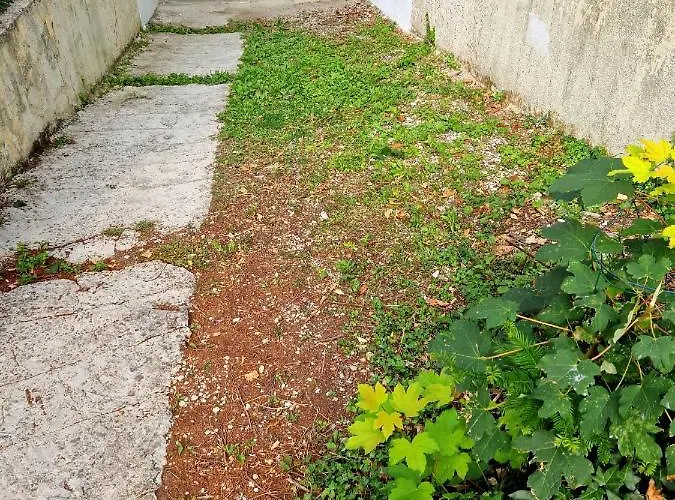 Apartamento Le Capucin - Proche Centre Troyes